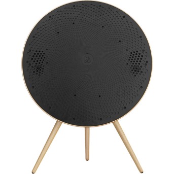 Bang & Olufsen Beosound A9 5.G Gold Tone B - FLEX - Metoo (5)