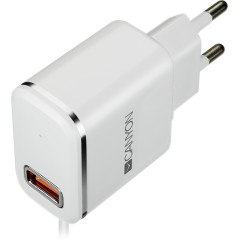 CANYON Universal 1xUSB AC charger (in wall) with over-voltage protection, plus lightning USB connector, Input 100V-240V, Output 5V-2.1A, with Smart IC, white(silver electroplated stripe), cable length 1m, 81*47.2*27mm, 0.059kg