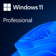 Microsoft Windows Professional 11 64-bit All Languages Online Product Key License 1 License Downlo..