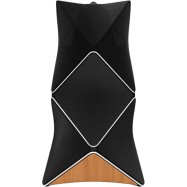 Beolab 90 Speaker (Primary) Silver/Black..