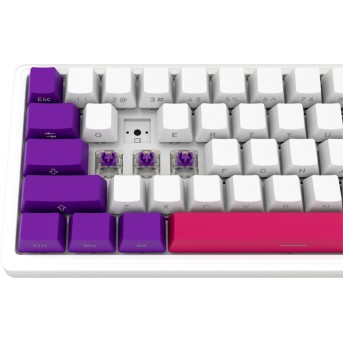 LORGAR KBP70MW, Wireless 65% Mechanical Gaming Keyboard Pro, White, EN/RU layout в Metoo.kz - Metoo (8)