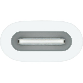 USB-C to Apple Pencil Adapter, Model A2869 - Metoo (2)