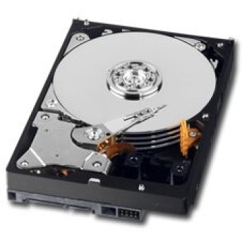 WESTERN DIGITAL HDD Desktop AV-GP (3.5", 1TB, 64MB, SATA III-600). - Metoo (2)