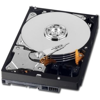 WESTERN DIGITAL HDD Desktop AV-GP (3.5", 1TB, 64MB, SATA III-600). - Metoo (3)