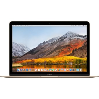12-inch MacBook: 1.2GHz dual-core Intel Core m3, 256GB - Gold, Model A1534 - Metoo (1)