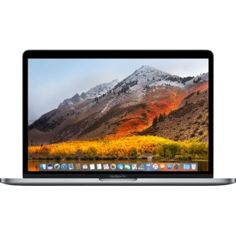 13-inch MacBook Pro: 2.3GHz dual-core i5, 256GB - Space Grey, Model A1708 - Metoo (1)
