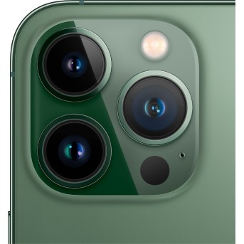 iPhone 13 Pro 256GB Alpine Green,Model A2640 - Metoo (3)
