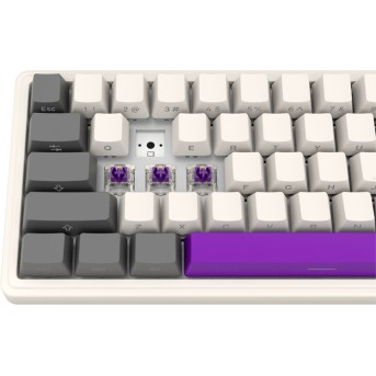 LORGAR KBP70MW, Wireless 65% Mechanical Gaming Keyboard Pro, Beige, EN/RU layout в Metoo.kz - Metoo (8)
