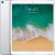Планшет iPad Pro 256Gb Серебристый - Metoo (3)
