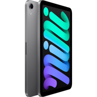 iPad mini Wi-Fi 256GB - Space Grey,Model A2993 - Metoo (3)