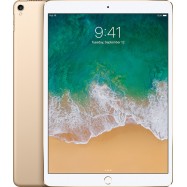10.5-inch iPad Pro Wi-Fi 256GB - Gold, Model A1701