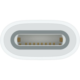 USB-C to Apple Pencil Adapter, Model A2869 - Metoo (3)