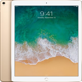 12.9-inch iPad Pro Wi-Fi + Cellular 64GB - Gold, Model A1671 - Metoo (3)