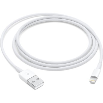 Apple Lightning to USB Cable (2m) - Metoo (1)