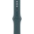 46mm Lake Green Sport Band - S/<wbr>M - Metoo (1)