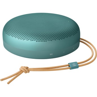 Beosound A1 3rd Gen Eucalyptus Green в Metoo.kz - Metoo (1)