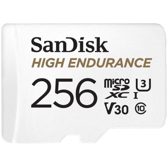 SANDISK 256GB microSDHC Card with Adapter - Metoo (1)