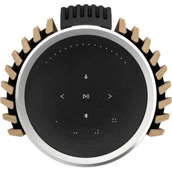 Bang & Olufsen Beolab 28 Speaker Silver/Grey incl. Inner cover - STAGED в Metoo.kz - Metoo (4)