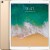 Планшет iPad Pro 256Gb Золотой - Metoo (4)