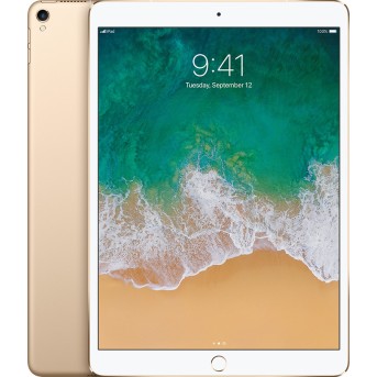 10.5-inch iPad Pro Wi-Fi + Cellular 512GB - Gold, Model A1709 - Metoo (1)