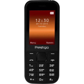 Мобильный телефон Prestigio Wize G1 Черный (PFP1243DUO) - Metoo (1)