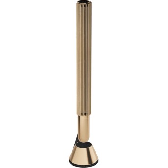 Beolab 28 Woofer Gold Tone в Metoo.kz - Metoo (1)