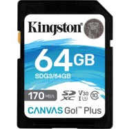 Флеш (Flash) карты Kingston SDG3 SDG3/64GB (64 ГБ)