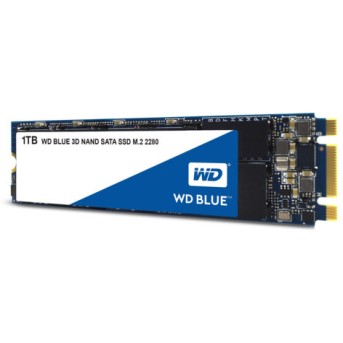Внутренний жесткий диск Western Digital WDS100T2B0B (1 Тб, M.2, SATA, SSD (твердотельные)) - Metoo (1)