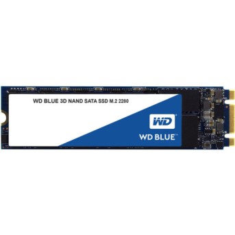 Внутренний жесткий диск Western Digital WDS250G2B0B (250 ГБ, M.2, SATA, SSD (твердотельные)) - Metoo (1)