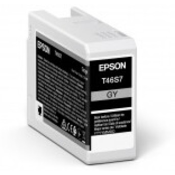Картридж струйный Epson C13T46S700, T46S серый для SC-P700 (Gray T46S7 ULTRACHROME PRO 10 INK) в Metoo.kz - Metoo (1)