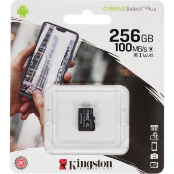 Карта памяти Kingston Class 10 256GB без адаптера - Metoo (1)