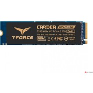 Твердотельный накопитель SSD T-FORCE M.2-2280 PCI-E Gen4x4 Z44L 250GB RETAIL W/HEAT SINK/STICKER TM8FPL250G0C127