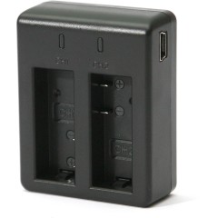 Сетевое зарядное устройство PowerPlant Dual SJCAM SJ4000 для двух аккумуляторов..