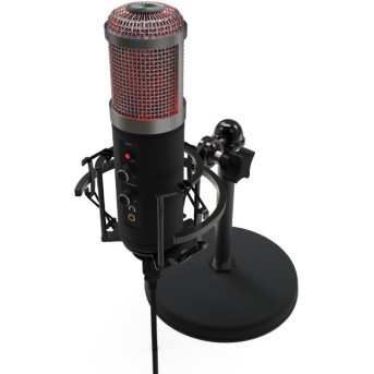 Студийный микрофон Ritmix RDM-260 USB Eloquence черный - Metoo (1)