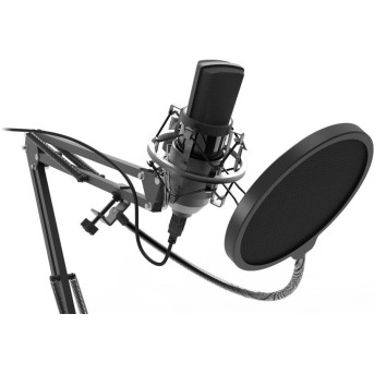 Студийный микрофон Ritmix RDM-169 черный - Metoo (1)