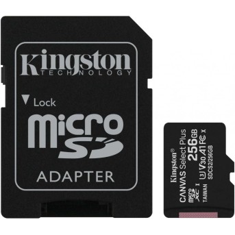 Карта памяти MicroSD 256GB Class 10 UHS-I Kingston SDCS2/<wbr>256GB - Metoo (1)