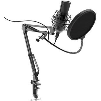 Студийный микрофон RITMIX RDM-180 черный - Metoo (1)