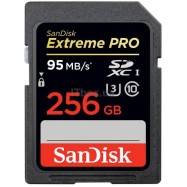 Карта памяти SD 256Gb SanDisk SDSDXPA-256G-G46