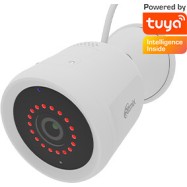 Видеокамера универсальная Ritmix IPC-260 S Tuya белый