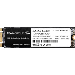 Твердотельный накопитель 256GB SSD TeamGroup MS30 M.2 SATA 2280 R500Mb/s W400MB/s TM8PS7256G0C101..