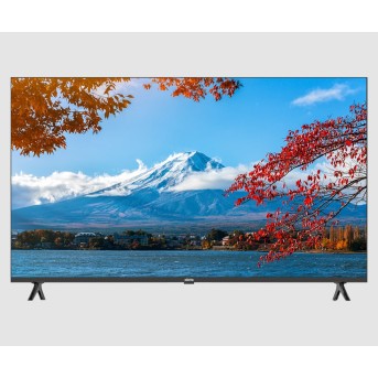 Телевизор 50" ELISTA GOOGLE TV FHD 3xHDMI 1xAV in 2xUSB RG45 WiFi в Metoo.kz - Metoo (1)