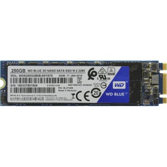 Твердотельный накопитель 250GB SSD WD BLUE NVMe 3D NAND M.2 PCIe R2400Mb/<wbr>s W950MB/<wbr>s WDS250G2B0C - Metoo (1)