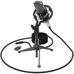 Студийный микрофон Ritmix RDM-160 черный