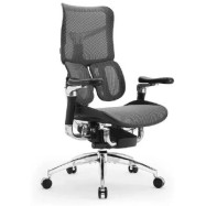Офисное кресло Sihoo S100-B102-JT черный