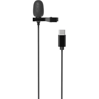 Микрофон петличный Ritmix RCM-210 черный - Metoo (1)