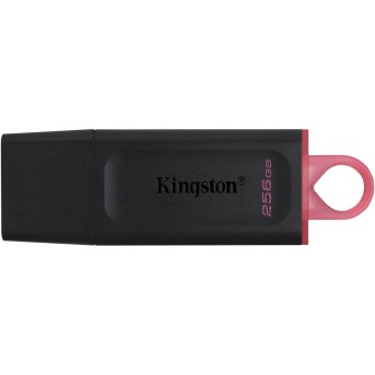 USB Флеш 256GB 3.0 Kingston DTX/<wbr>256GB - Metoo (1)